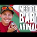 MEET THE CUTE NEW BABY ANIMALS ON THE RANCH!