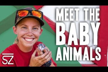 MEET THE CUTE NEW BABY ANIMALS ON THE RANCH!