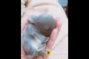 My cute baby and rabbit