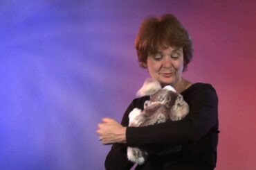 Folkmanis® Baby Lop Rabbit Puppet Demo