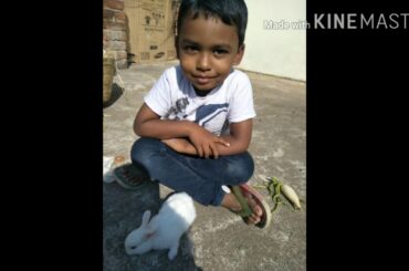My  son  ,our  pet rabbit and cute baby
