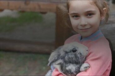 Funny and Cute Baby Bunny Rabbit Videos - Baby Animal Video Compilation (2020) - Free Stock Video.