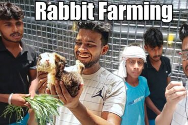 Rabbit Farming | Rabbit | Rabbit Farm | Rabbit Videos | Safar With Samm