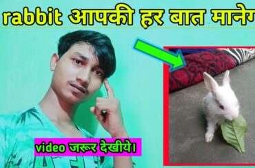 funny and cute baby bunny rabbit videos 🐇 baby animal video compilation 2020