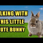 #talking with bunny #cutebunny #eatingbunny