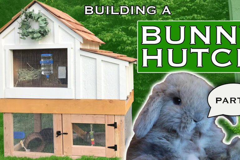 Building a Rabbit Hutch for my bunnies - Part 2