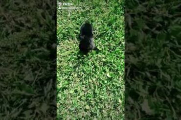 My cute baby bunny