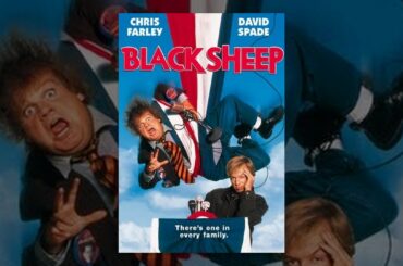 Black Sheep