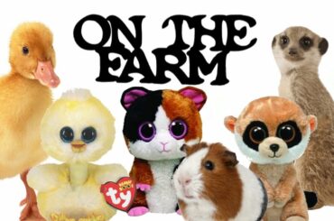 Beanie Boos Vs Farm Animals | Baby Animals