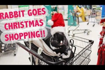 RABBIT GOES CHRISTMAS SHOPPING! 🐰🎄