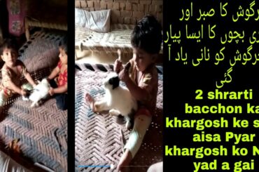 Rabbit funny and cute baby video /chann mahi