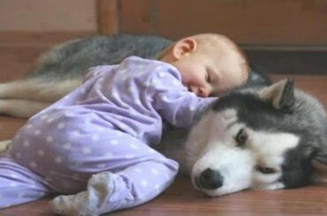 Cute Babies HUGGING Dogs And Cats
