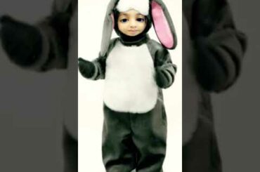 I  am a cute rabbit