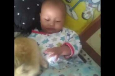 baby and rabbit