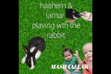 happy kids playing with the rabbit #rabbit #hashem&lamar