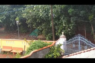 Rainy Day / Heavy Rain in Kerala🌦️🌧️☔