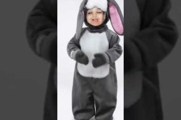 The Cute Bunny