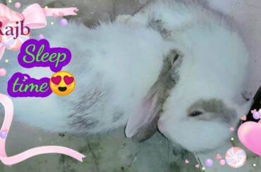 Cute baby rabbits 🥰Tamil super hit songs😍 Muyalkutti 🥰kazhugu 1🥰 rabbit lover