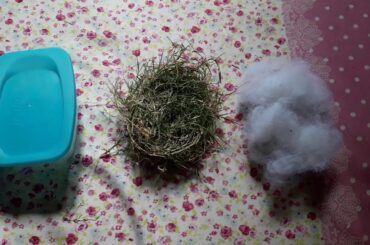 How to make a very sample baby rabbit house