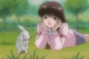 not because you're a rabbit