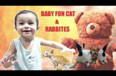 FUNNY BABY FUN CAT & RABBITS