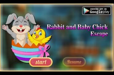 Avm Rabbit and Baby Chick Escape Walkthrough [AvmGames]