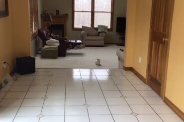 Cute bunny montage (read DESC)
