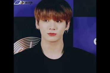 cute handsome baby bunny🐰🐰