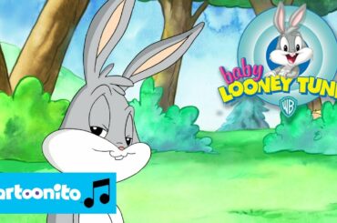 Baby Looney Tunes | SONG: Baby Bunny Song | Cartoonito