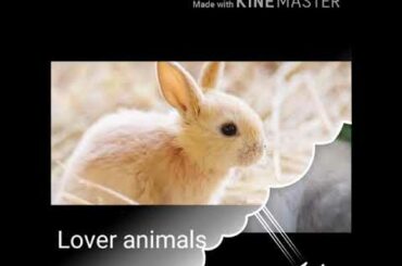 In this video there are bunnies baby bunnies at the end of 😍