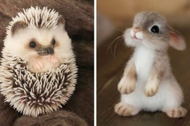 Cutest Animals! Cute baby animals Videos Compilation cute moment of the animals #16