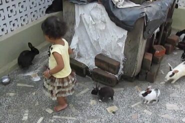 bengali baby playing with pet rabbit i talk and walk  amazing