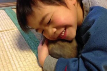 Baby bunny rabbit 18 day progress , Toy of the child