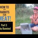 How To Raise Rabbits for Meat: Part 3 Caring for Baby Bunnies