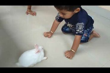 Kids with baby Rabbits