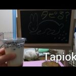 うさぎのタピオカおいしい Cute Rabbit tapioka shop