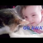 Babies VS Cats Compilation. Cute and Funny Babies with Cats (Kids)!