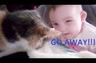 Babies VS Cats Compilation. Cute and Funny Babies with Cats (Kids)!