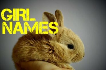 girl Rabbit names beginning with n