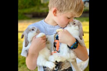 Baby bunnies and Cute Babies Playing together Funny Video