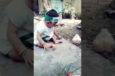 Cute baby playing with Rabbit
