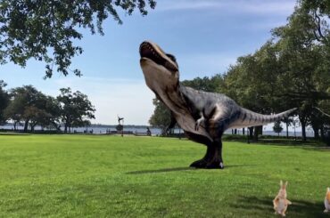 Loud Dino w:Cute Bunnies In Memorial Park Jacksonville Fl