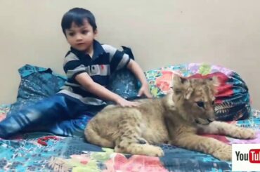 Cute baby with big cat and bunny
