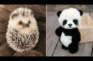 Cute baby animals Videos Compilation Cute moment of the animals - Cutest Animals On Earth #9