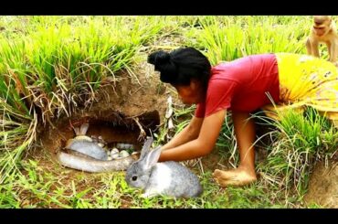 Women finding Rescue baby Rabbit  From snake - cooking egg for food eating with dog Delicious