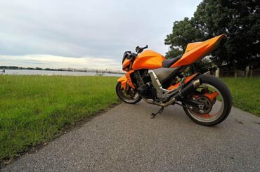 Biker Almost Hits Baby Rabbit & Downtown Louisville Ride