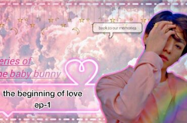 Jungkook ff (the beginning of love) •Series of the baby bunny• ep-1