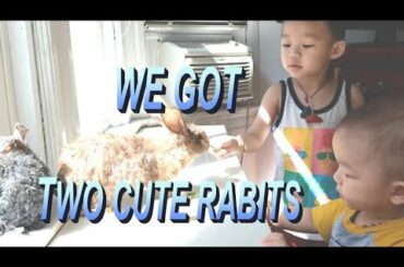 WE GOT TWO CUTE RABBITS