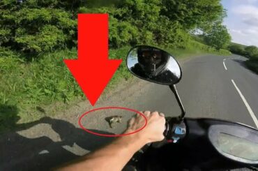 ALMOST KILLED A BABY RABBIT CLOSE CALL !!!