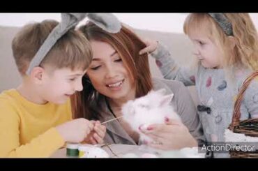 Funny and Cute Baby Bunny Rabbit Videos 🐇 Baby Animal Video Compilation 2020